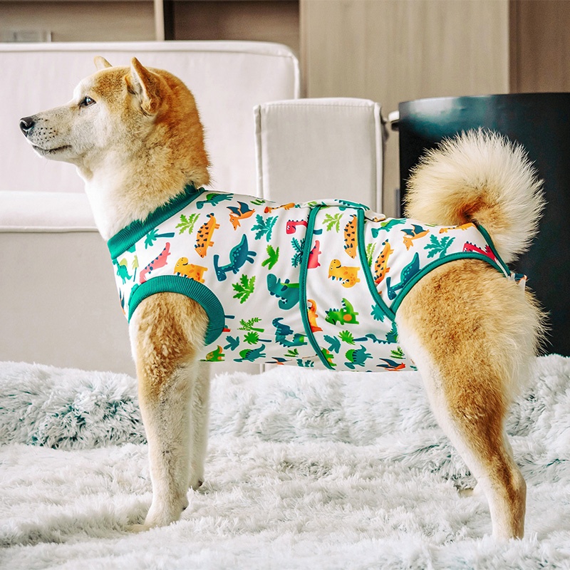 Leather Work Factory - Köpek Cerrahi Takım Elbise Kadın Spay