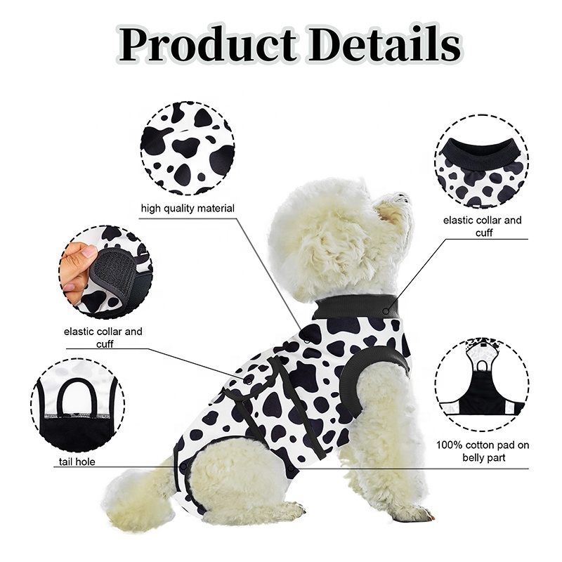 Köpek Cerrahi Takım Elbise Kad - Leather Work Factory incelemesi ve fiyatı